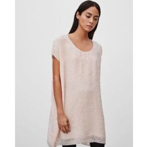 Wilfred (Aritzia) Silk & Velvet 'Bouchette' Dress - Picture 3 of 6